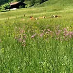 Alpenoase - Grosse Mit Sauna Oder Gemuetliche Apartmán