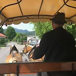 Alpenoase - Grosse Mit Sauna Oder Gemuetliche * Schliersee