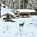 Appartement Alpenoase - Grosse Mit Sauna Oder Gemuetliche