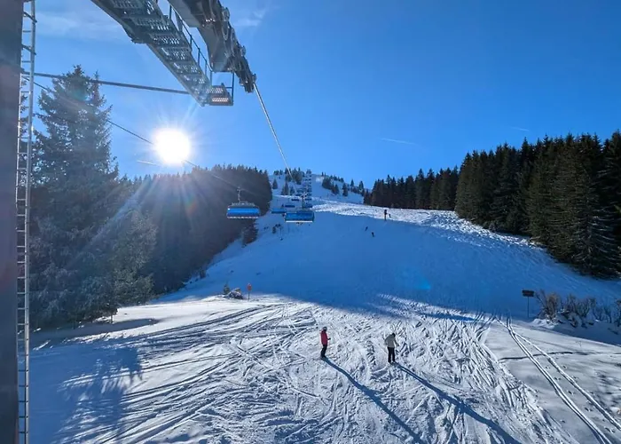 Alpenoase - Grosse Mit Sauna Oder Gemuetliche * Schliersee